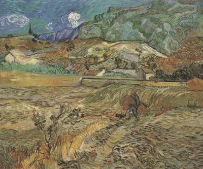 Vincent Van Gogh Enclosed Wheat Field with Peasant (nn04) china oil painting image